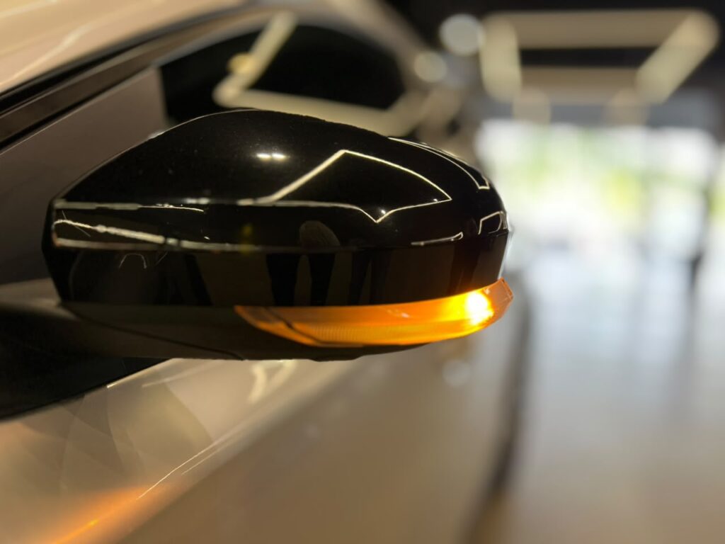 Renault Kardian